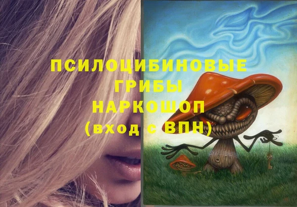 PSILOCYBIN Баксан